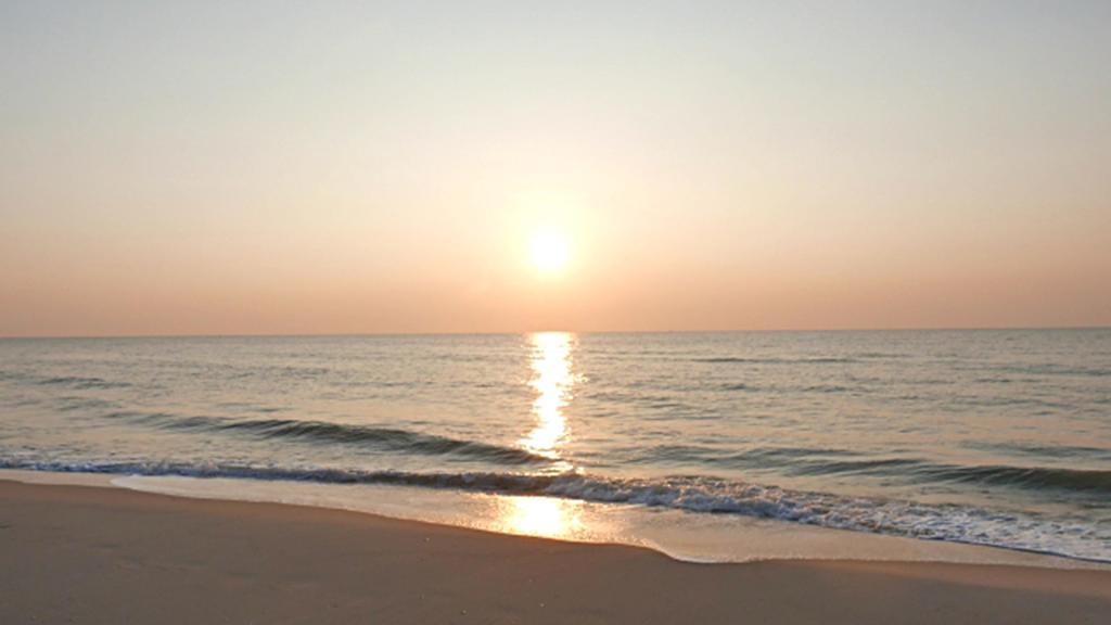 Hung Do Beach Homestay Hoi An Eksteriør billede